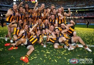 hawthornpremiers2014